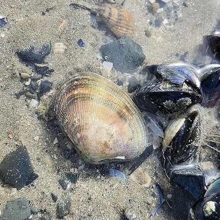 Prázdninový dům L'entre Terre Et Mer